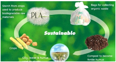 2023年全球生物降解塑料需求量或達(dá)55萬(wàn)噸，主要是這6大一次性塑料產(chǎn)品替代材料！