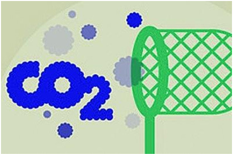 2023年全球生物降解塑料需求量或達(dá)55萬(wàn)噸，主要是這6大一次性塑料產(chǎn)品替代材料！